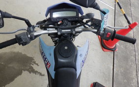 KAWASAKI KLX250D TRACKER 2025 LX250V