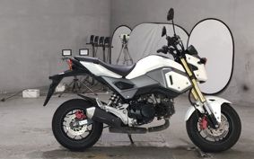 HONDA GU ROM JC61