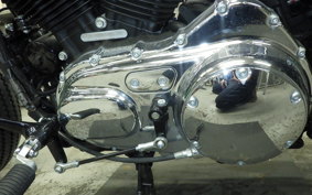 HARLEY XL1200XS 2019