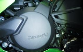 KAWASAKI NINJA7ﾊEVEﾘｯﾄ 2025