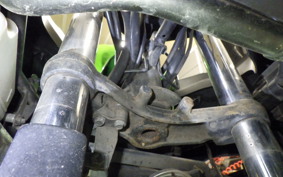 KAWASAKI NINJA 250 EX250L