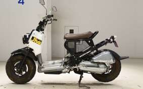 HONDA ZOOMER 2025 AF58