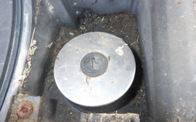 YAMAHA MAJESTY 250 C SG03J