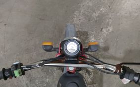 OTHER TOMOS ALPINO ..