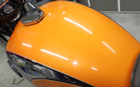 KAWASAKI ESTRELLA RS 2022 BJ250A