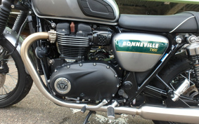 TRIUMPH TRIUMPH BONNEVILLE T100 2021 DAD70G