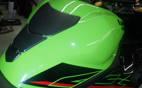 KAWASAKI ZX-4RR 2023 ZX400P