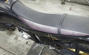 YAMAHA WR250X 2020 DG15J