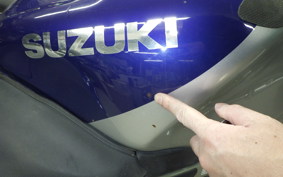 SUZUKI GSX-1300R HAYABUSA 2002
