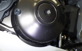 YAMAHA XSR900 GP 2024 RN96J