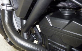 YAMAHA MT-25 A 2025 RG43J