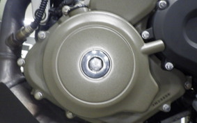 HUSQVARNA SVARTPILEN 401 2021