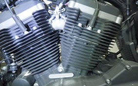 HARLEY XL883N 2015