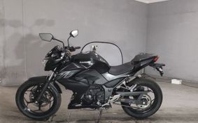 KAWASAKI Z250 ER250C