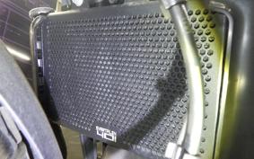 HUSQVARNA SVARTPILEN 401 2022