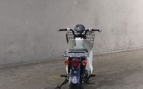 HONDA SUPER CUB110 JA07