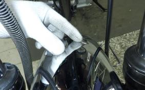 KAWASAKI ESTRELLA RS BJ250A