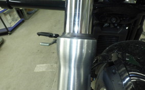 HARLEY FXST1750 2023