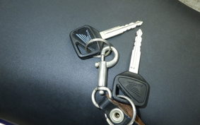 HONDA CBR1100XX 1999