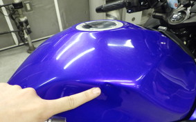 SUZUKI GSX250 R