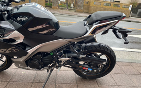 KAWASAKI NINJA 250 EX250P