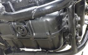 YAMAHA TT250R RAID 4GY