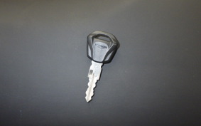 TRIUMPH TRIDENT 660 2024