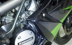 KAWASAKI NINJA150RR 2019