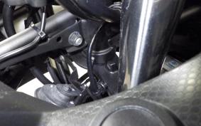 KAWASAKI NINJA 400 2022 EX400G