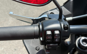 HARLEY FXLRST 2023 YXZ