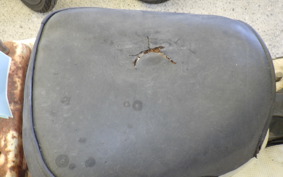 OTHER +RABBIT125 S301