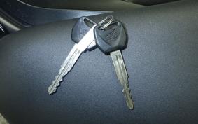 HONDA REBEL 250 2024 MC49