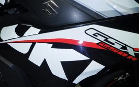 SUZUKI GSX250R 1999