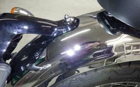 KAWASAKI W800 2025 EJ800E