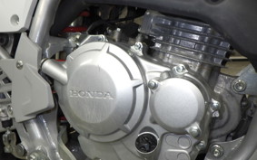 HONDA CRF250F 2024