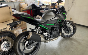 KAWASAKI Z250 EX250Y