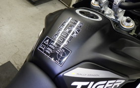 TRIUMPH TIGER900 RALLYARACO 2024