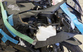 KAWASAKI NINJA 250 EX250L