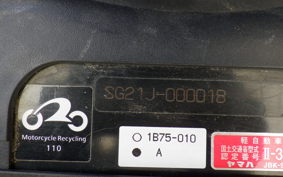 YAMAHA MAXAM 250 2006 SG21J