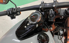 HARLEY FXFBS 2024 YLK