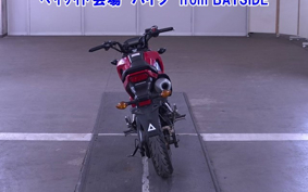 HONDA GROM