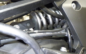 KAWASAKI NINJA 1000 A 2020 ZXT00W