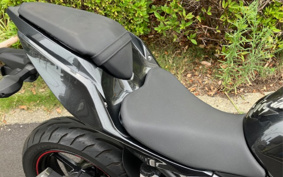 KAWASAKI NINJA 250 EX250P
