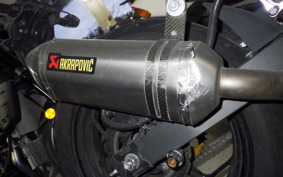 KAWASAKI NINJA 250 EX250L