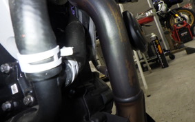 HUSQVARNA SVARTPILEN 250