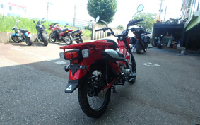 HONDA CT125 HUNTER CUB JA55