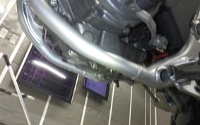 HONDA CRF250L 2021 MD47