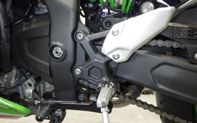 KAWASAKI ZX-4RR 2023