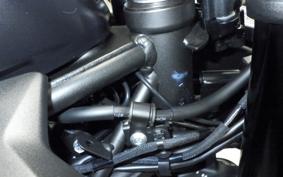 KAWASAKI ZX-4R SE 2024 ZX400P