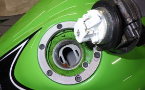 KAWASAKI NINJA 250 ABS EX250L